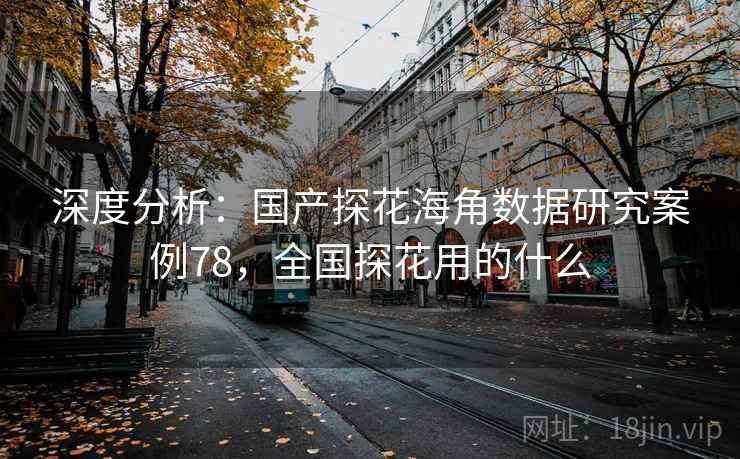 深度分析:国产探花海角数据研究案例78,全国探花用的什么 深度分析:国产探花海角数据研究案例78,全国探花用的什么