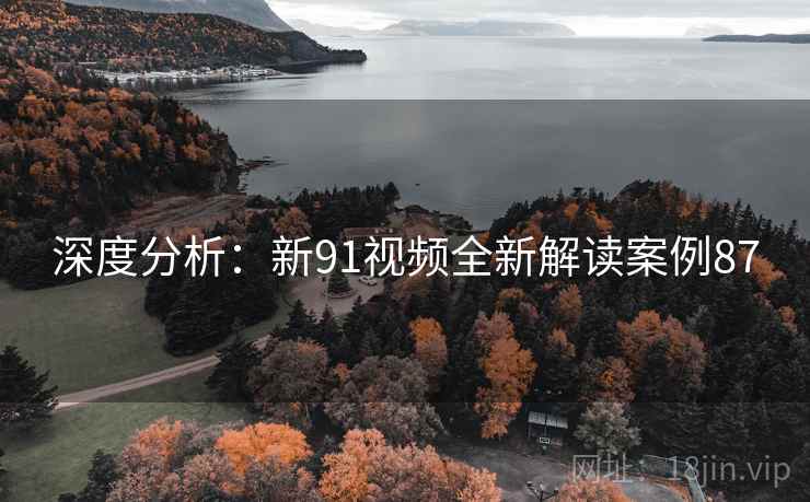 深度分析:新91视频全新解读案例87 深度分析:新91视频全新解读案例87