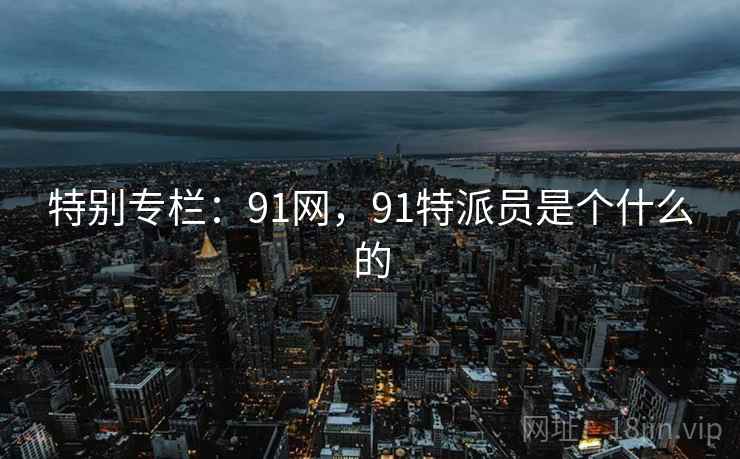 特别专栏：91网，91特派员是个什么的