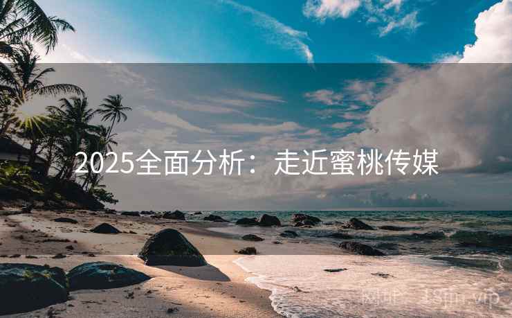 2025全面分析：走近蜜桃传媒