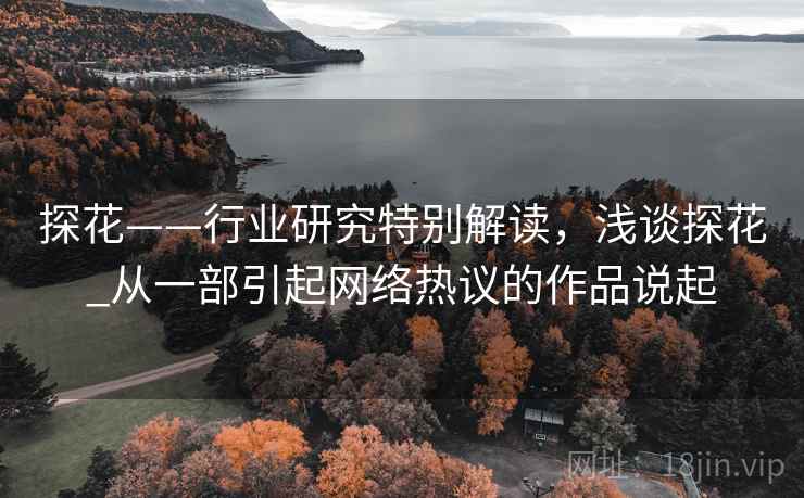 探花——行业研究特别解读，浅谈探花_从一部引起网络热议的作品说起