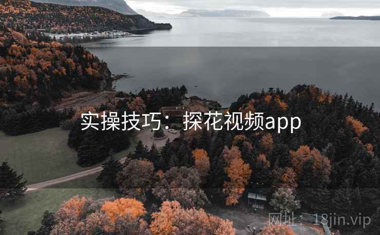 实操技巧:探花视频app 实操技巧:探花视频app